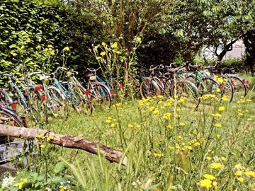 Profitez qu'il fasse beau, faites du Vélo au Bord de l'Eau !!!
lesvelosenchampagne.fr
🌻🚲🚲💛💛💛